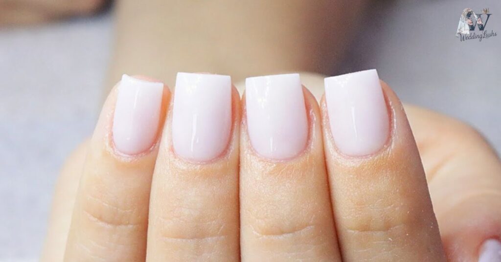 Basic-Milky-White