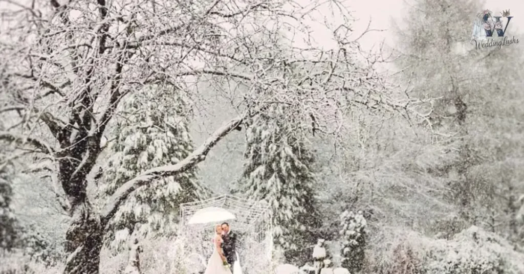 Choosing-the-Perfect-Winter-Wonderland-Venue