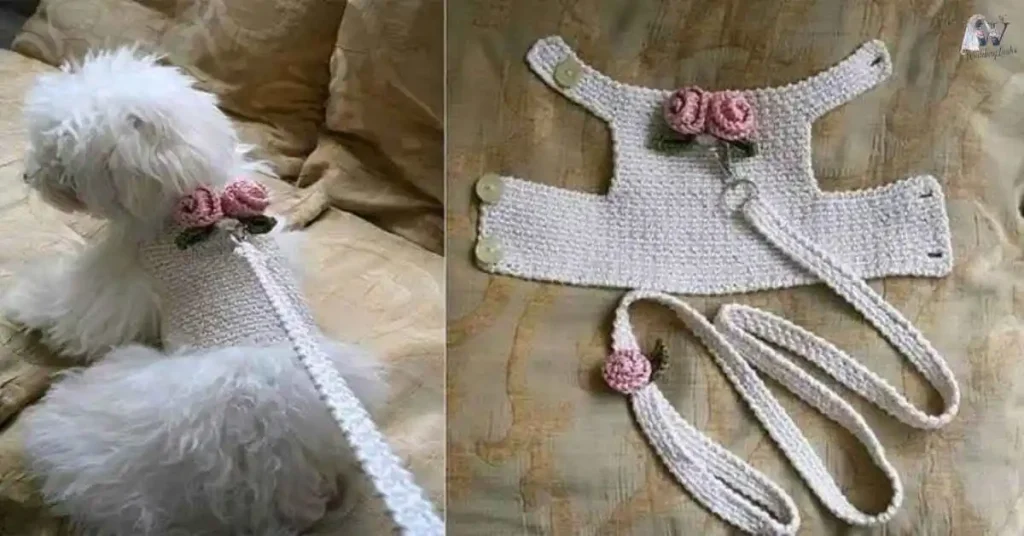 Accessories-for-Dog-Wedding-Outfits