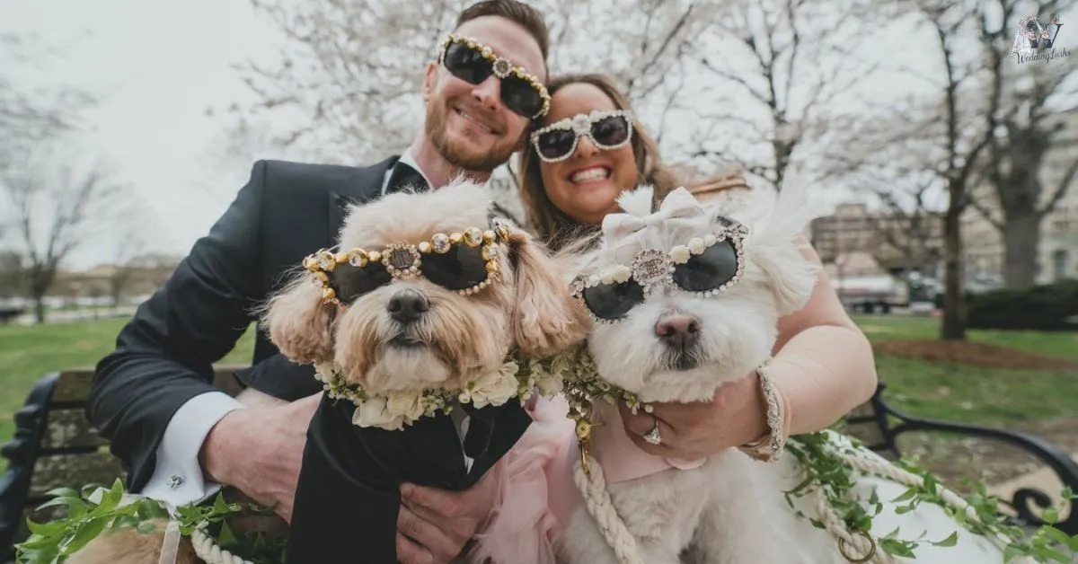 Dog-Wedding-Outfits