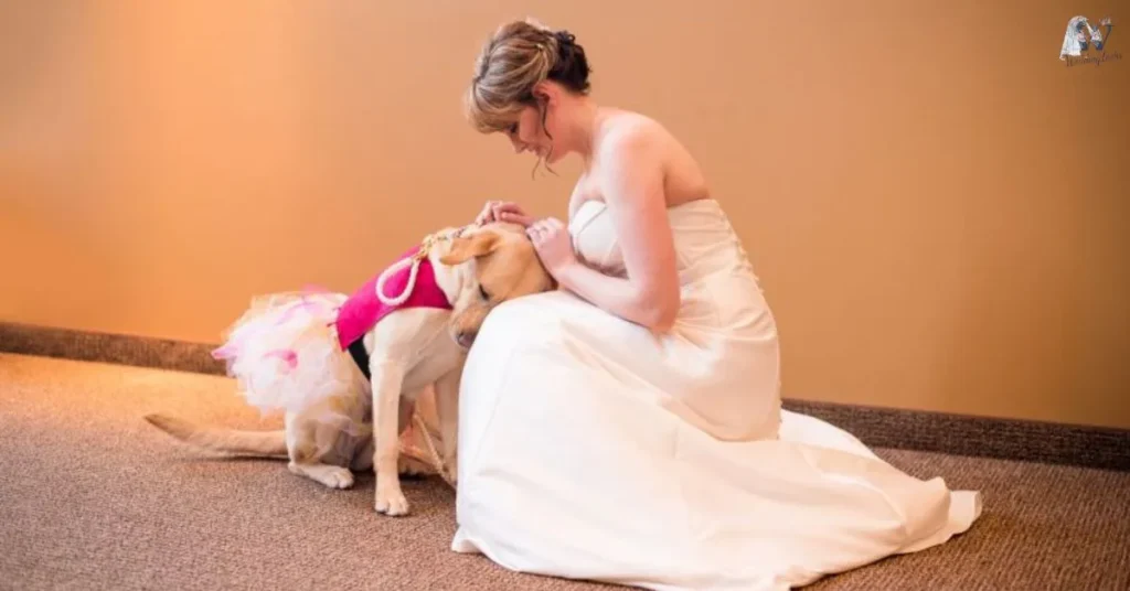 Dog-Wedding-Outfits