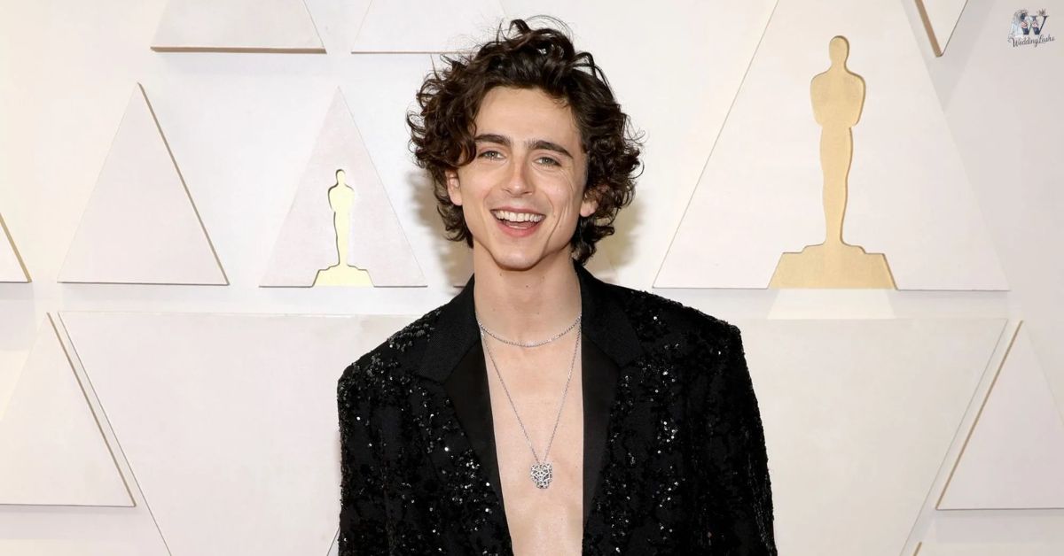 Timothée-Chalamet-Hollywood’s-Rising-Star-and-Social-Media-Icon